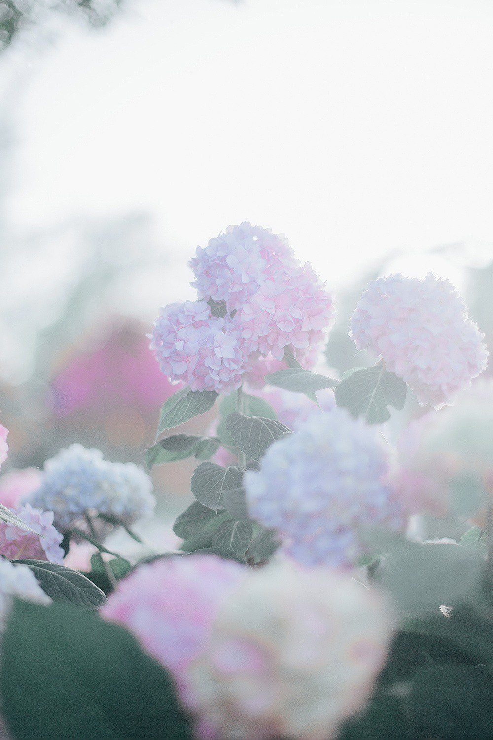 photo_2021-05-16_19-09-16 (2).jpg